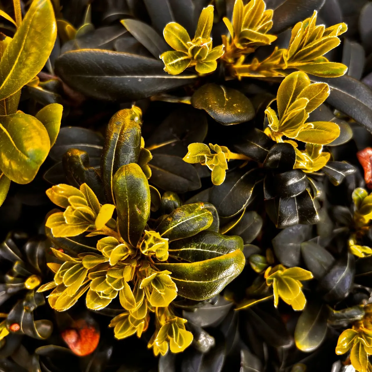 Sketch 5